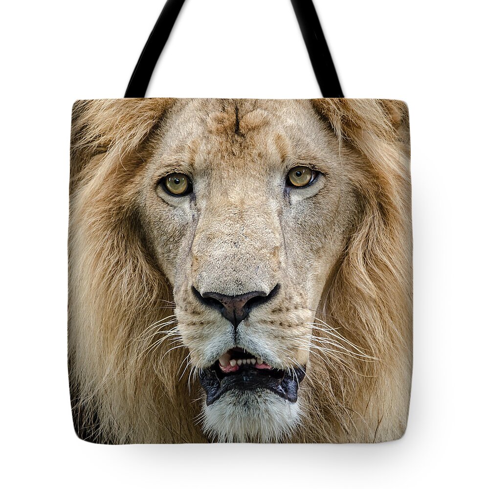 Animal Tote Bag featuring the photograph The King by Jaime Mercado