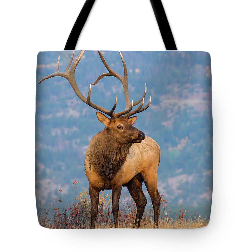 Autumn Tote Bag featuring the photograph The King Of Autumn by John De Bord