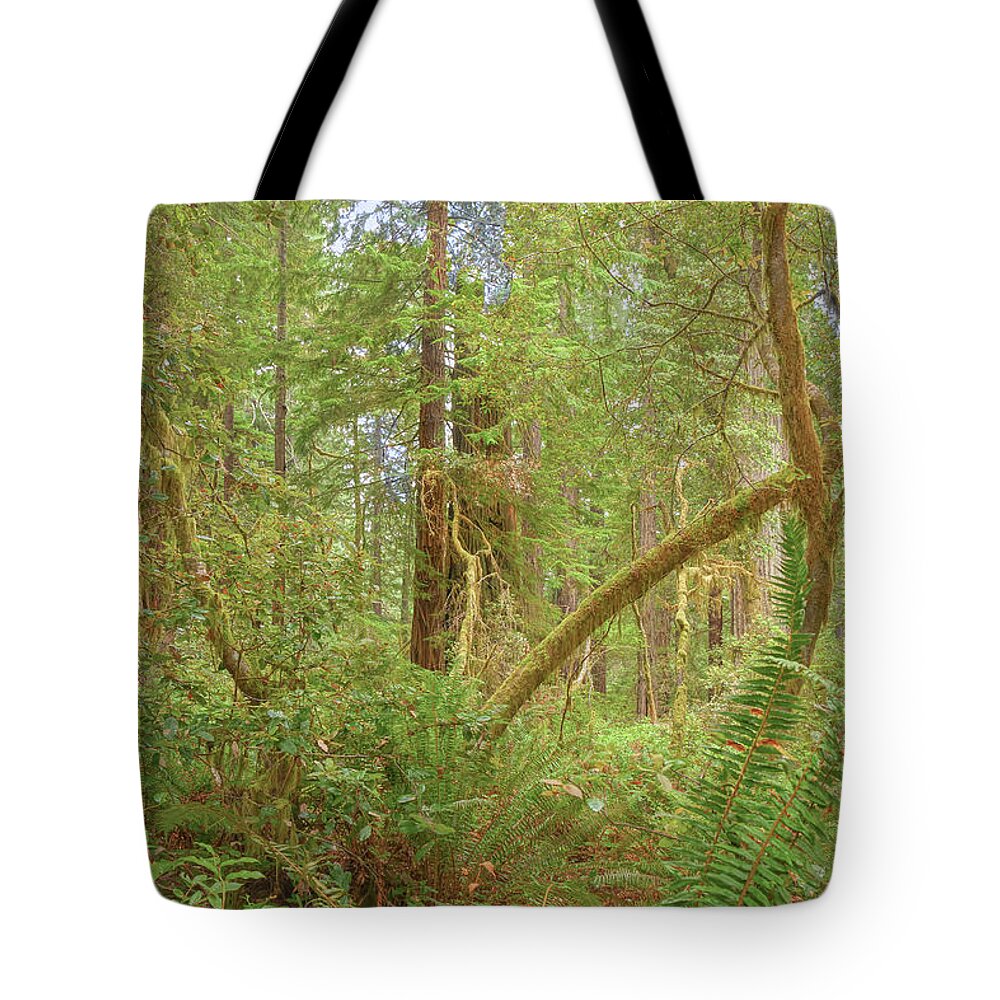 Landscape Tote Bag featuring the photograph The Land That Time Forgot by John M Bailey