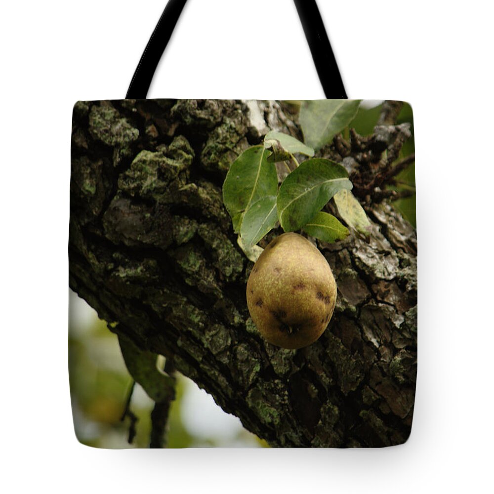 Pear Tote Bag featuring the photograph The Last Pear by Adrian Wale