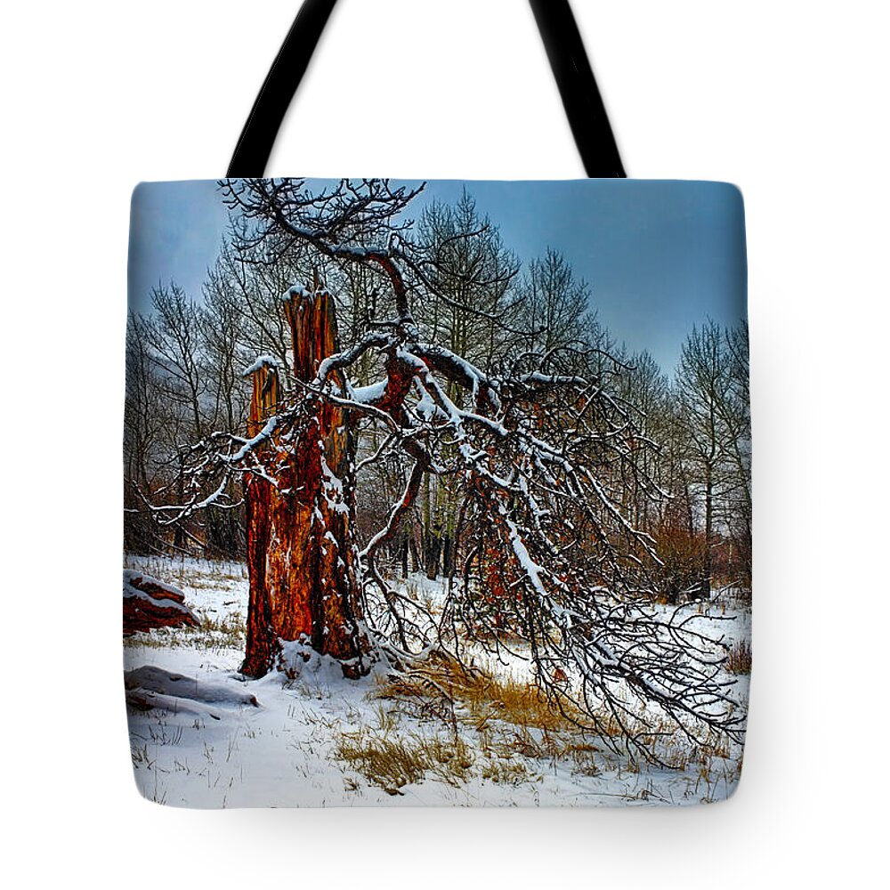 Tree Tote Bag featuring the photograph The Last Stand by Shane Bechler