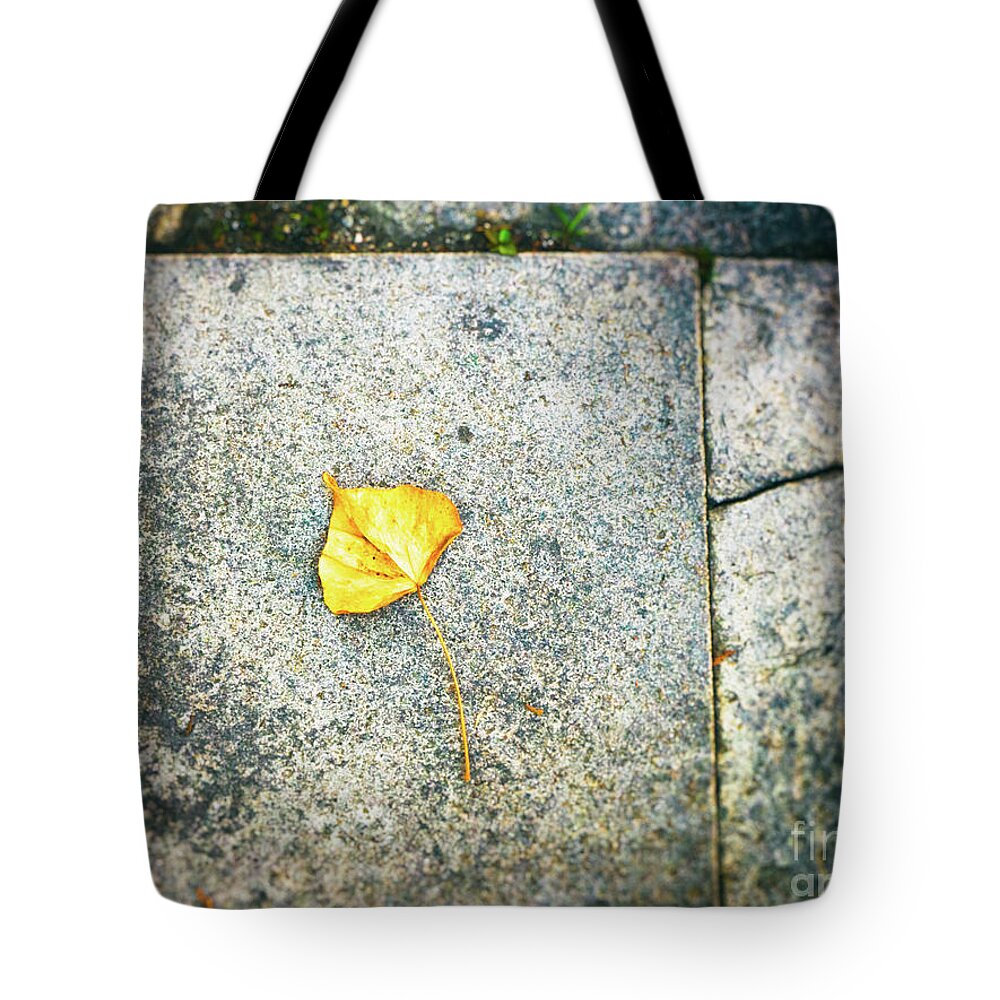 Still-life Tote Bag featuring the photograph The leaf by Silvia Ganora