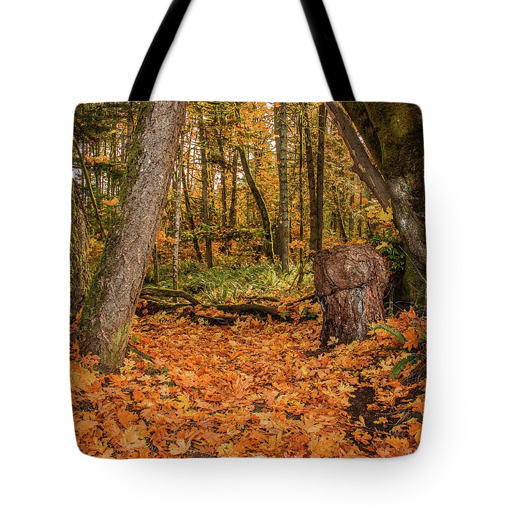 Landscapes Tote Bag featuring the photograph The Leaves Have Fallen by Claude Dalley