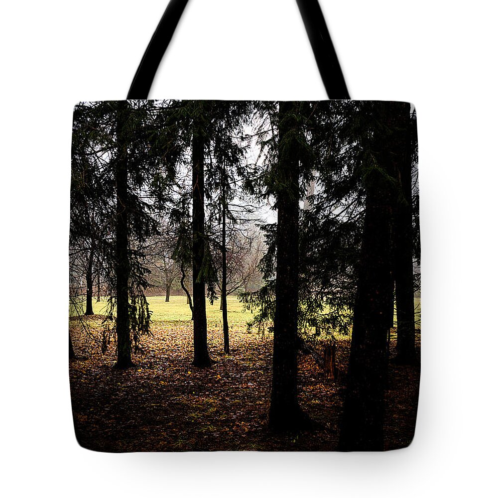 Trees Tote Bag featuring the photograph The Light After the Woods by Celso Bressan