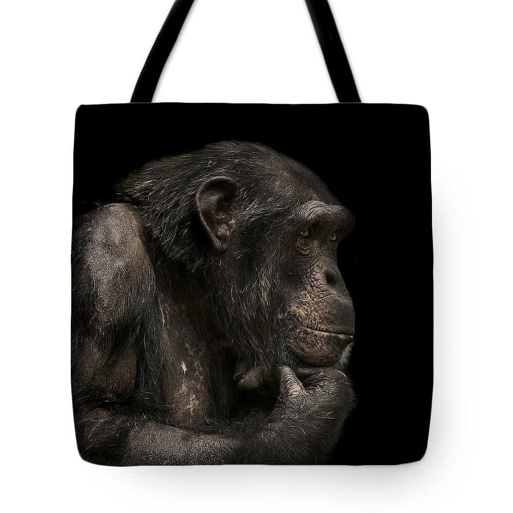 Chimpanzee Tote Bag featuring the photograph The Listener by Paul Neville