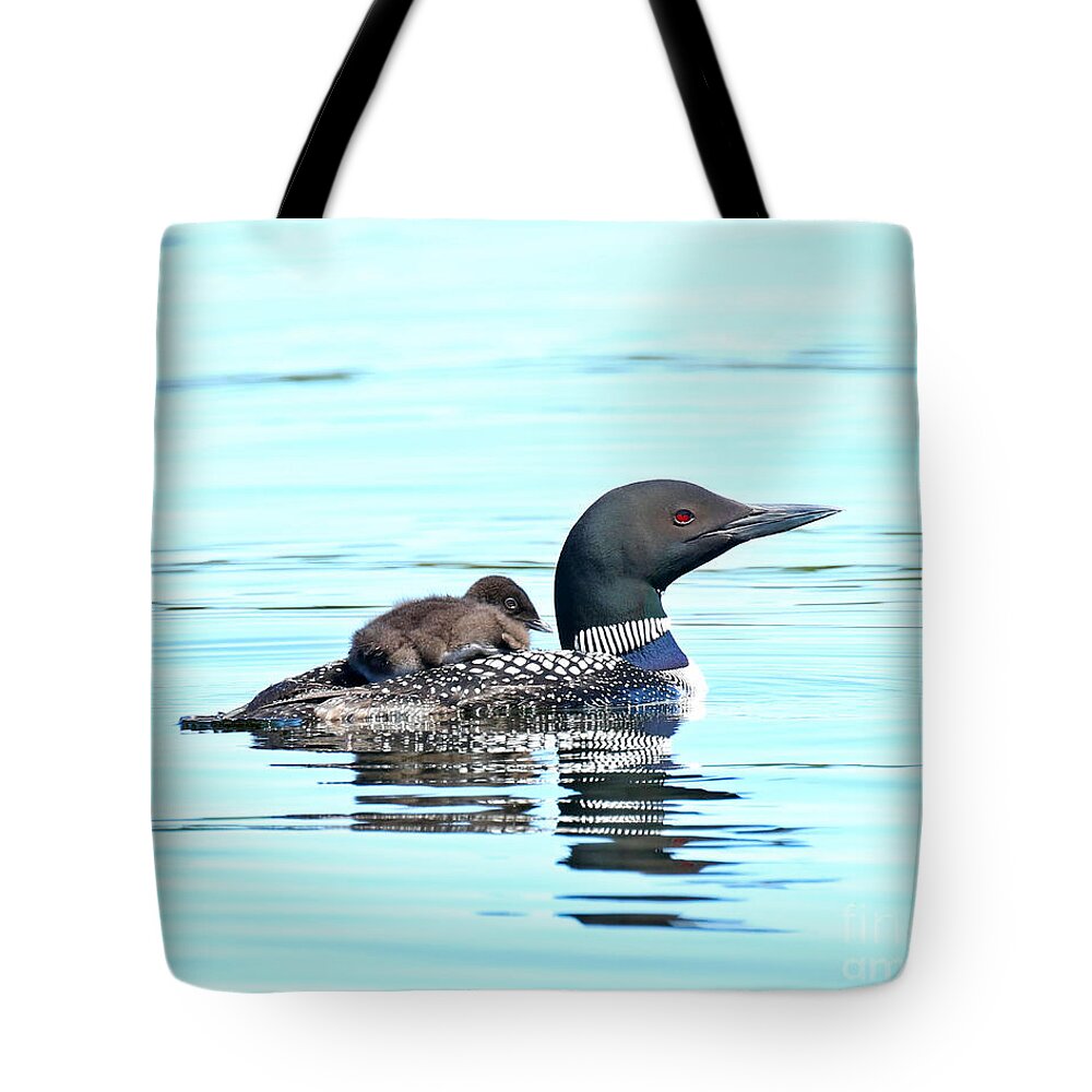 Loon Tote Bag featuring the photograph The little hitchhiker by Heather King