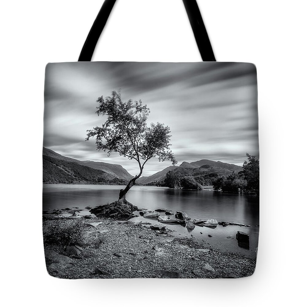 Llyn Padarn Tote Bag featuring the photograph The lonely tree at Llyn Padarn lake - Part 2 by Mariusz Talarek