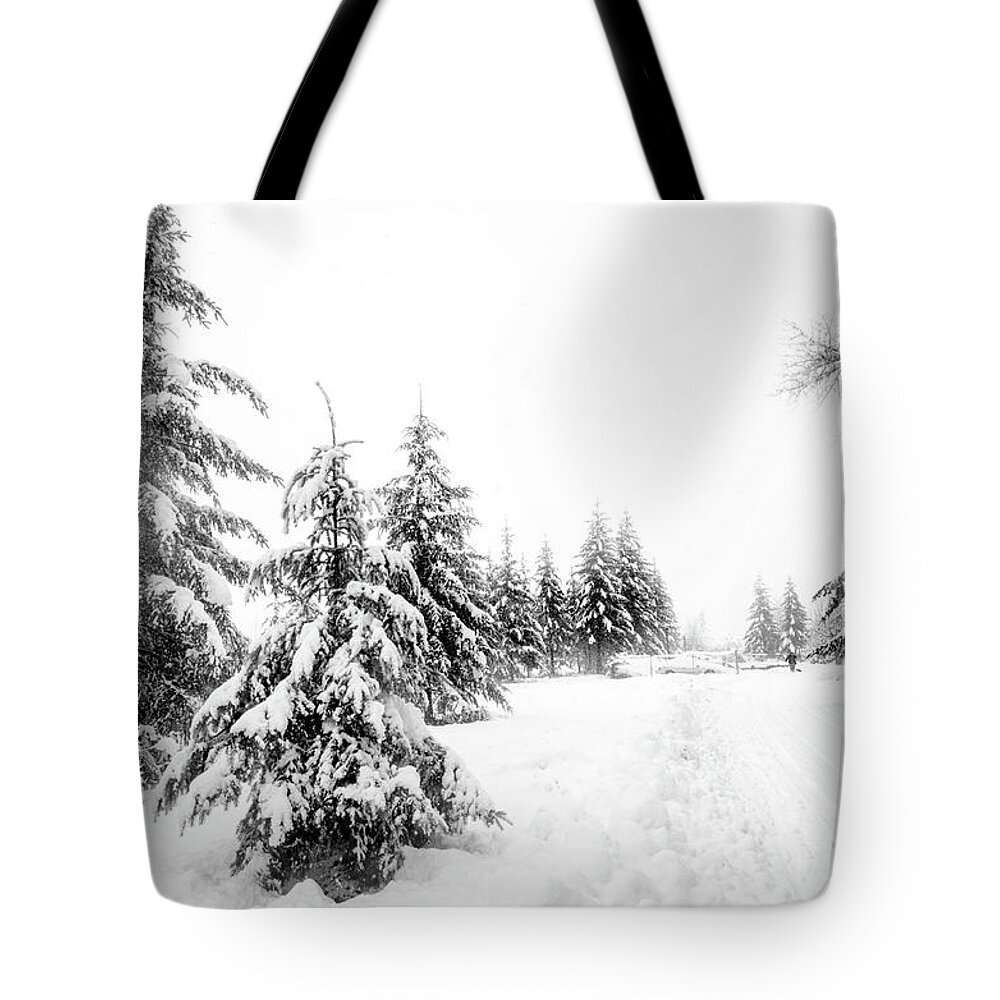 Snow Tote Bag featuring the photograph The Long Walk to the House by Kathy Paynter