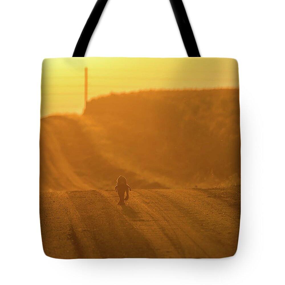 Lost Puppy Tote Bag featuring the photograph The Lost Puppy by Art Whitton