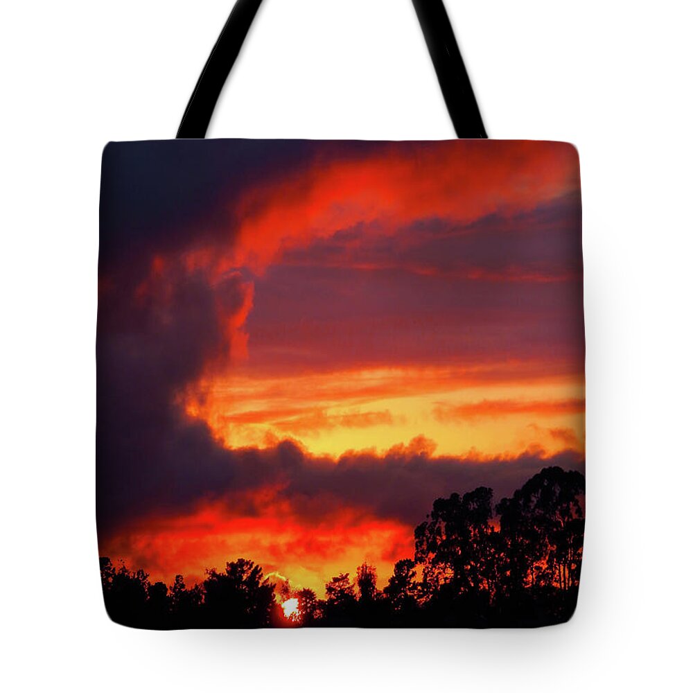 The Walkers Tote Bag featuring the photograph The Love is On by The Walkers