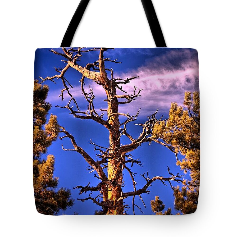 Lurker Tote Bag featuring the photograph The Lurker by Charles Dobbs