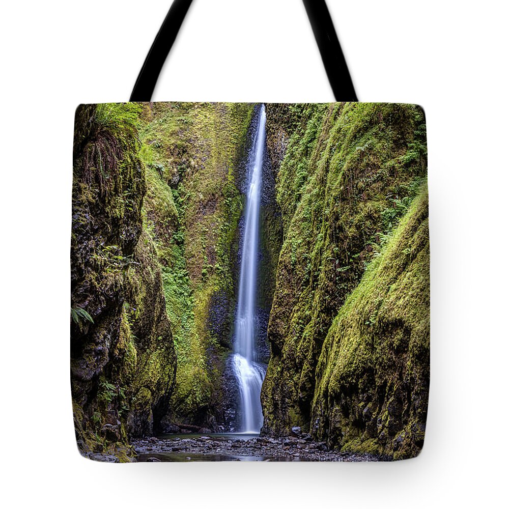 Oneonta Tote Bag featuring the photograph The lush and green Lower Oneonta falls by Pierre Leclerc Photography