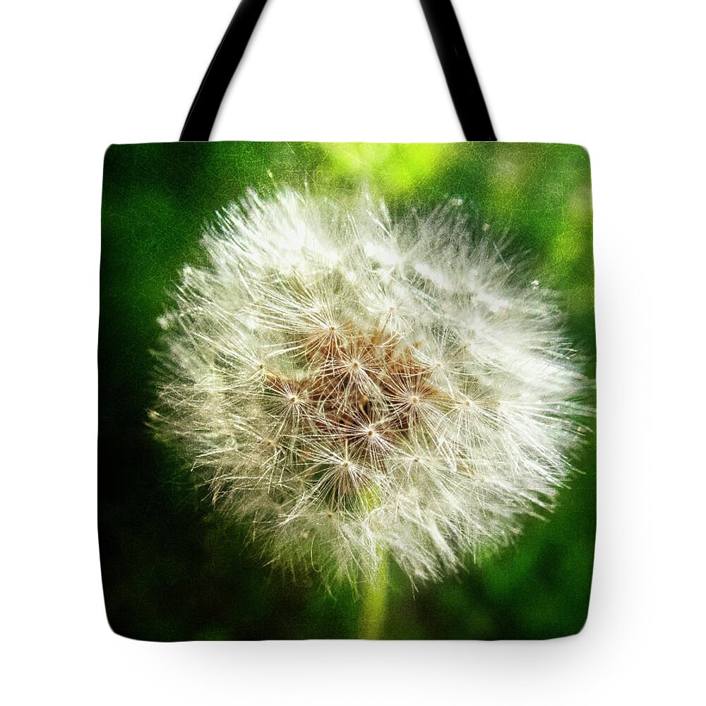 Appalachia Tote Bag featuring the photograph The Magic of Dandelions by Debra and Dave Vanderlaan