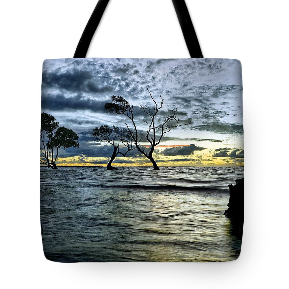 2015 Tote Bag featuring the photograph The Mangrove Trees by Robert Charity