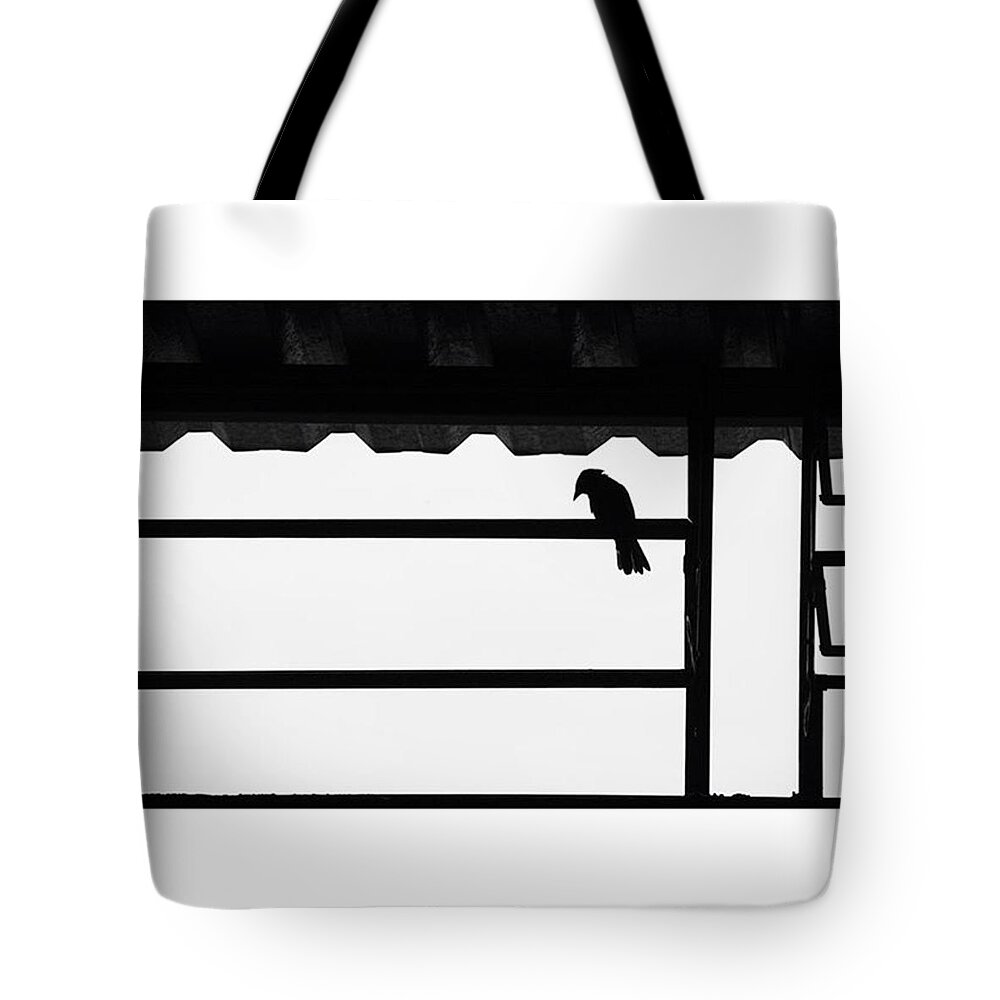 Monochromatic Tote Bag featuring the photograph The by Marcelo Valente