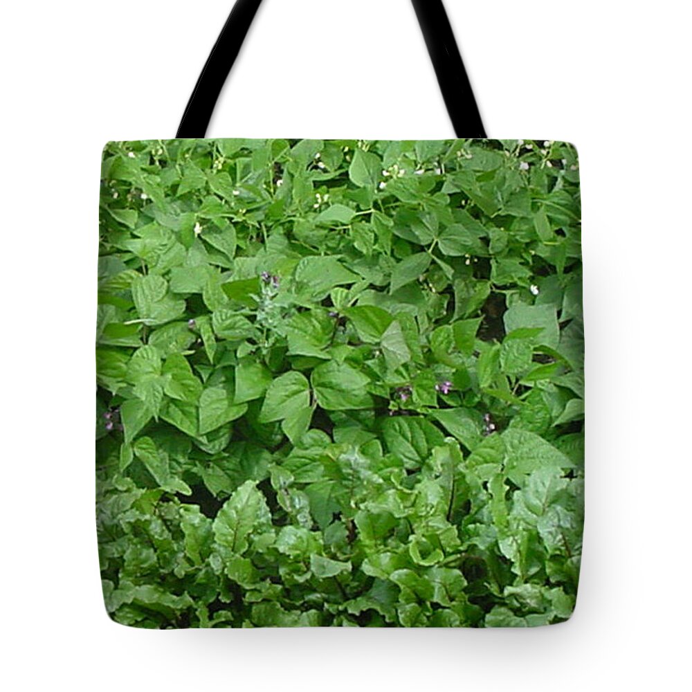 Garden Tote Bag featuring the photograph The Market Garden Portrait by Donna L Munro