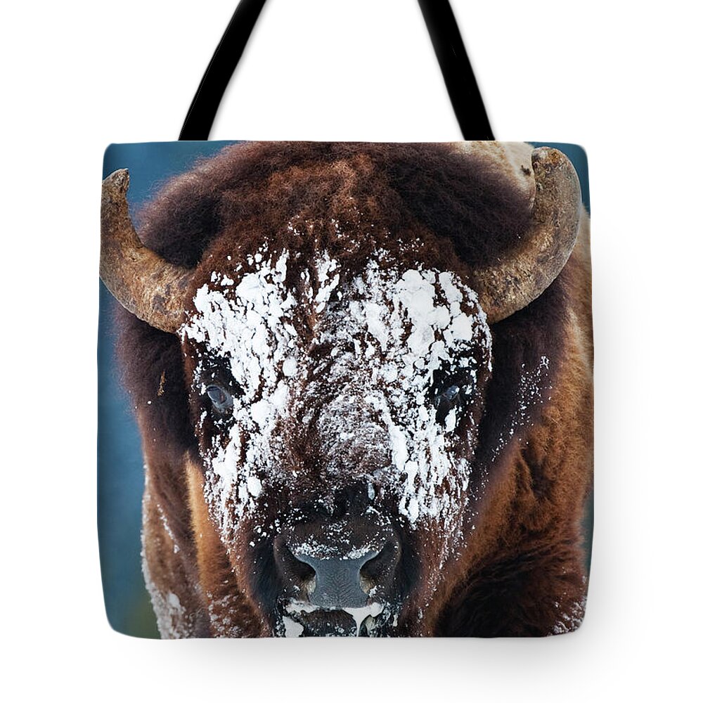 Wild Bison Tote Bag featuring the photograph The Masked Bison by Mark Miller