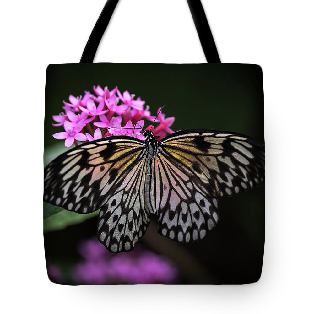 Photograph Tote Bag featuring the photograph The Master Calls A Butterfly by Cindy Lark Hartman
