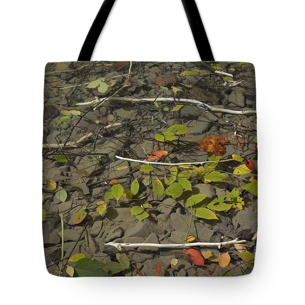Tucker County Wv Tote Bag featuring the photograph The Menu by Randy Bodkins