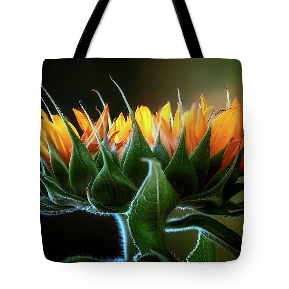 Anderson Sunflower Farm Tote Bag featuring the photograph The Mighty Sunflower by Doug Sturgess