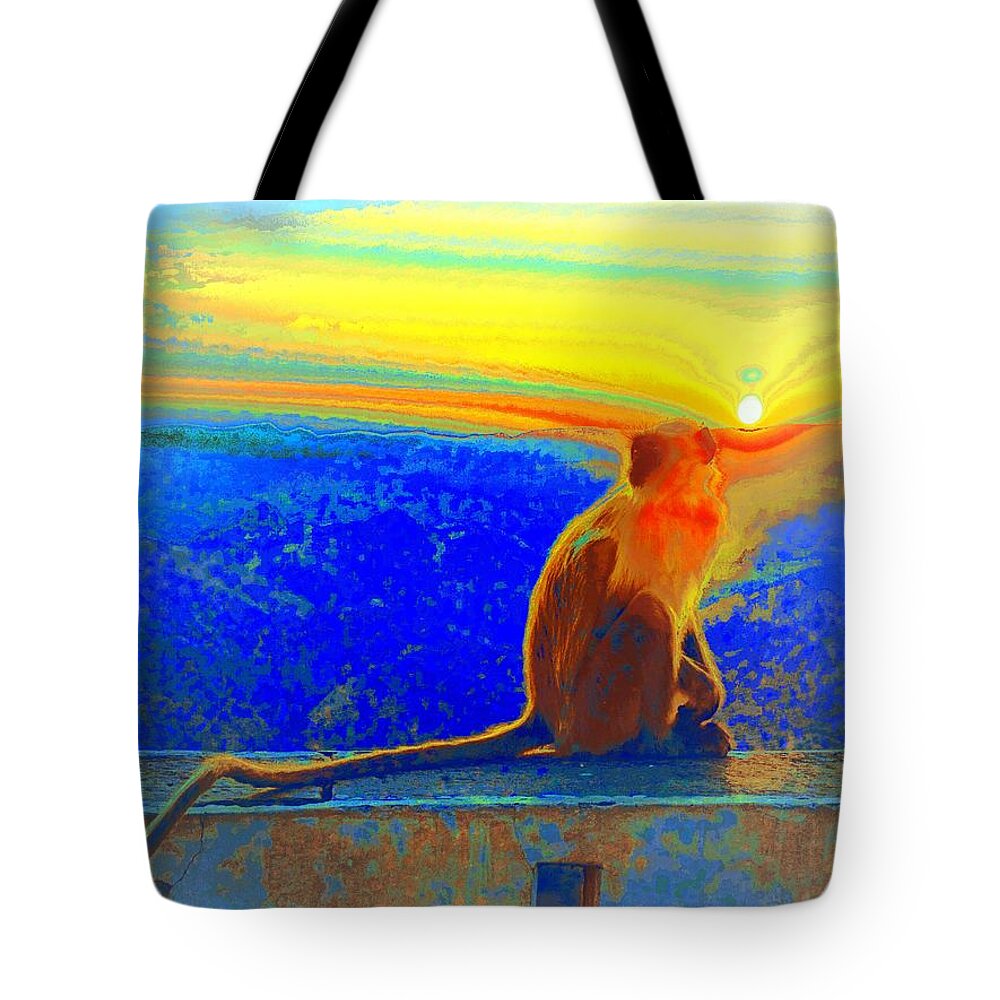 Primary Colors Tote Bag featuring the photograph The Monkey Who Stole My Sunset Primary Colors Abstract 1a by Sue Jacobi