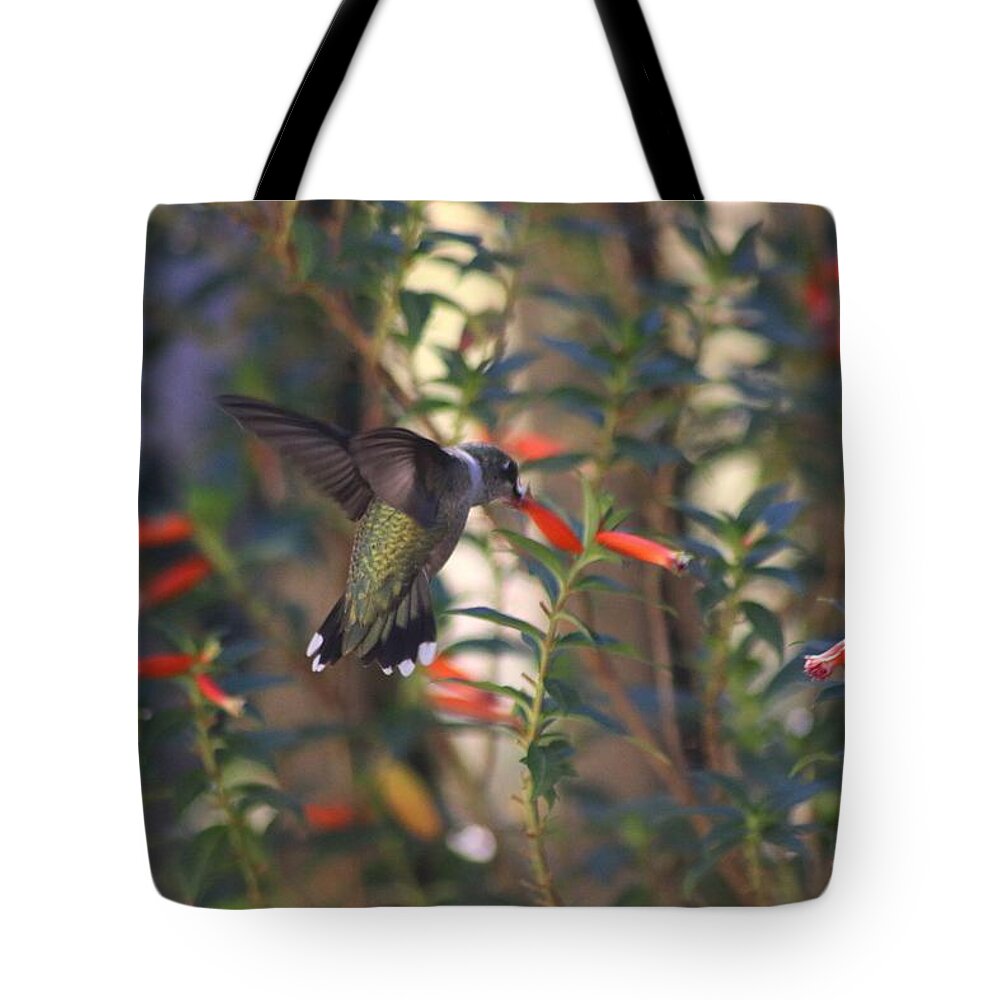 Hummingbird Tote Bag featuring the photograph The Morning Whisper by Living Color Photography Lorraine Lynch