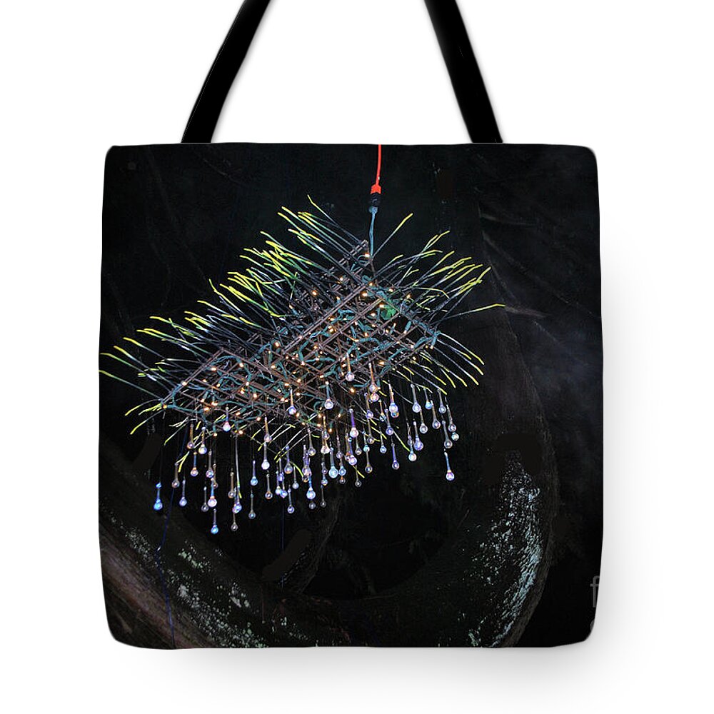 Mother Ship Tote Bag featuring the photograph The Mother Ship by Bill Thomson