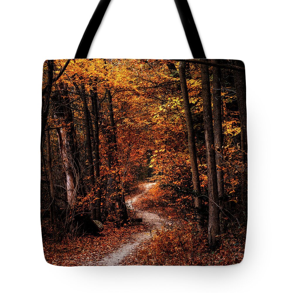 Landscape Tote Bag featuring the photograph The Narrow Path by Scott Norris