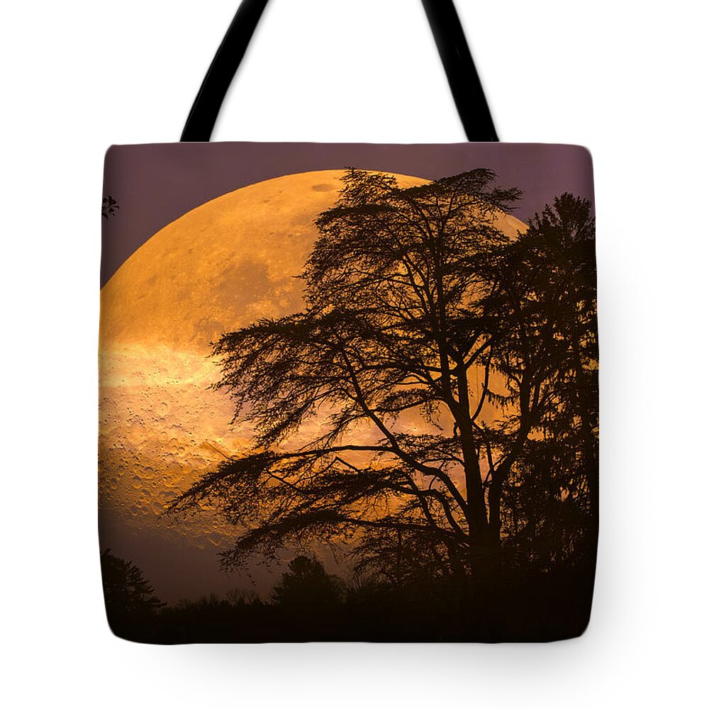 Night Tote Bag featuring the photograph The Night is Calling by John Rivera