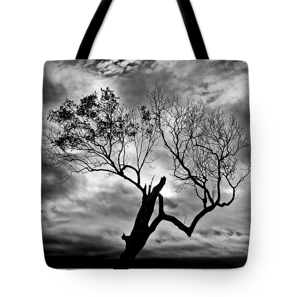 2015 Tote Bag featuring the photograph The Old Mangrove tree in the Sea by Robert Charity