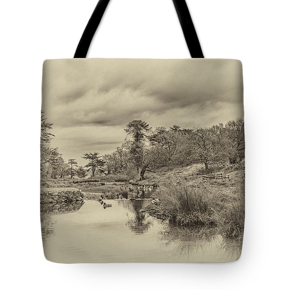 Landscape Tote Bag featuring the photograph The Old Pond by Nick Bywater