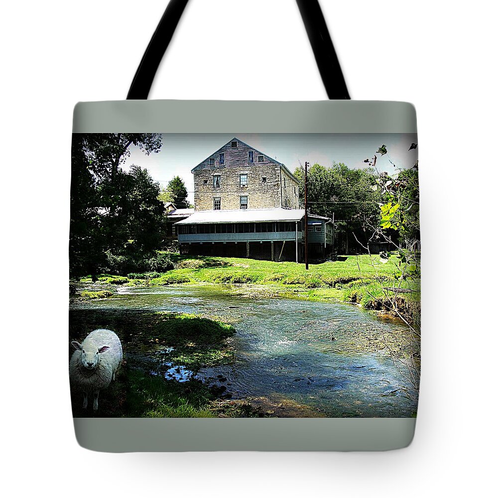 Animal Tote Bag featuring the photograph The Curious Sheep by Stacie Siemsen