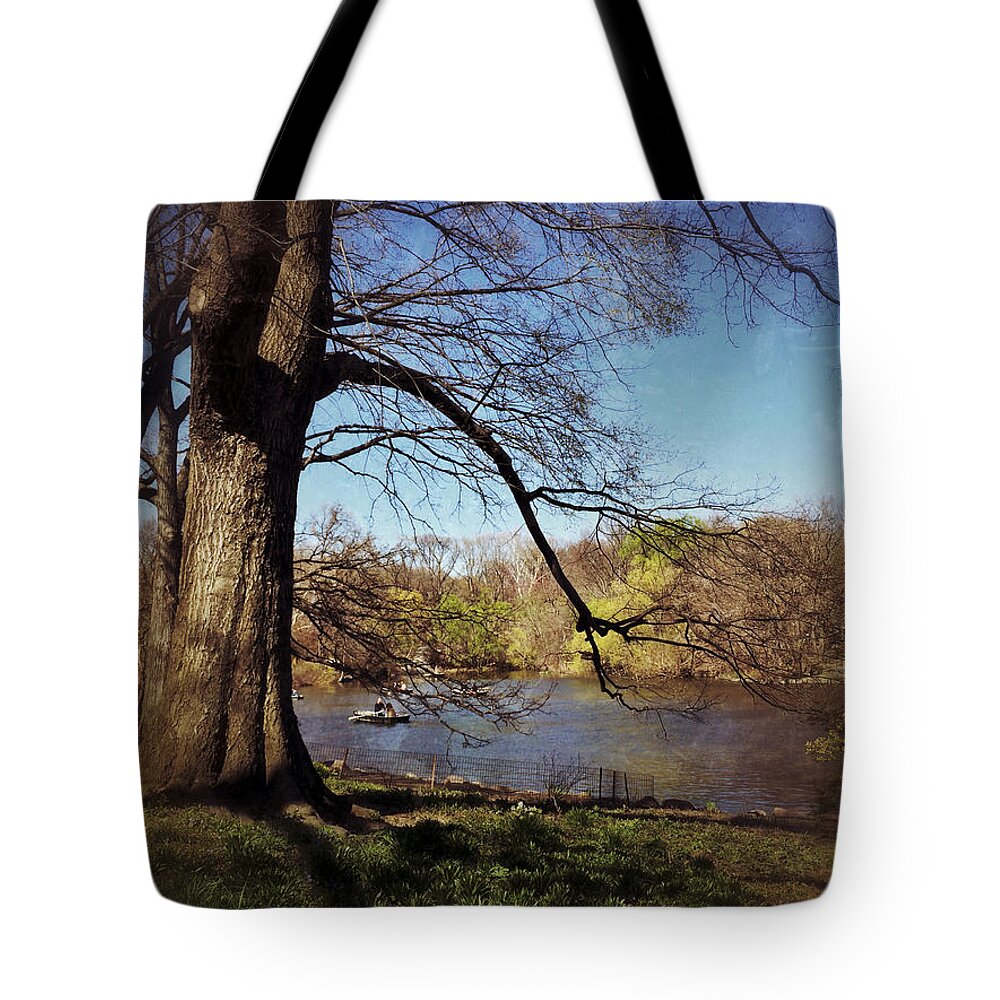 The Venerable Master Of The Forest Waits Tote Bag featuring the photograph The Old Tree - Central Park Lake in Spring by Miriam Danar