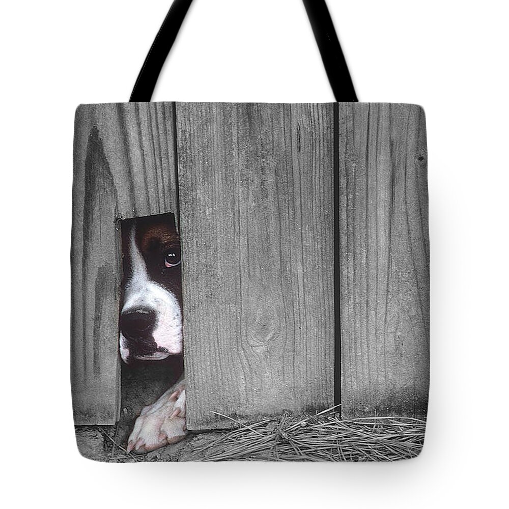 Escape Tote Bag featuring the photograph Captive #1 by DArcy Evans