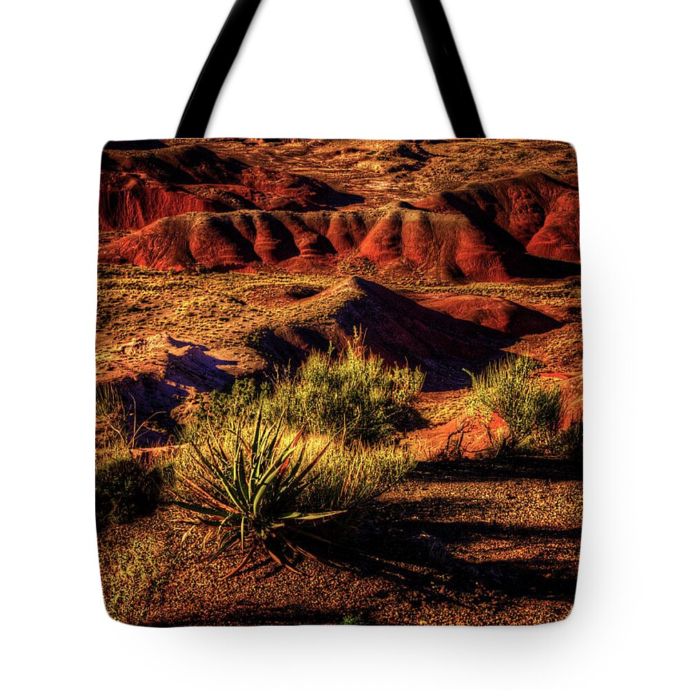 Arizona Tote Bag featuring the photograph The Painted Desert from Kachina Point by Roger Passman