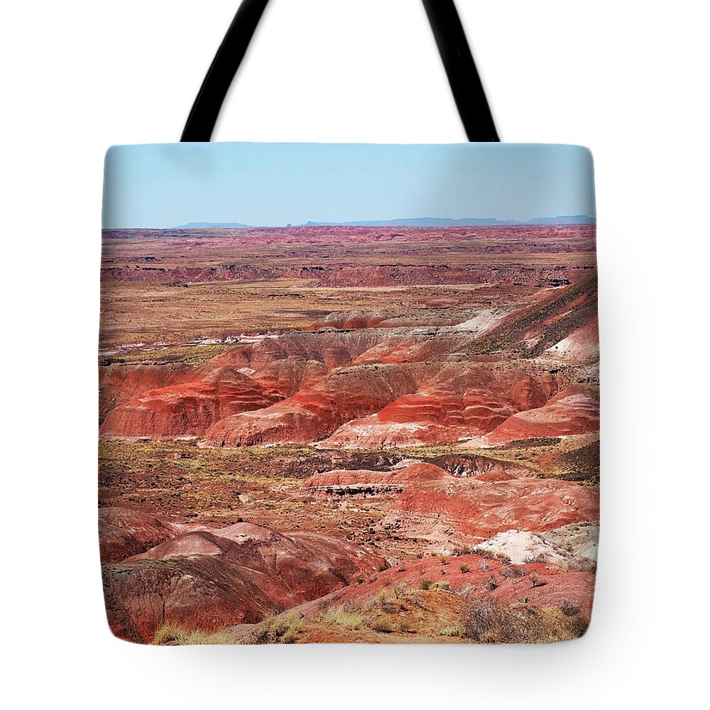 Arizona Tote Bag featuring the photograph The Painted Desert by Mary Capriole