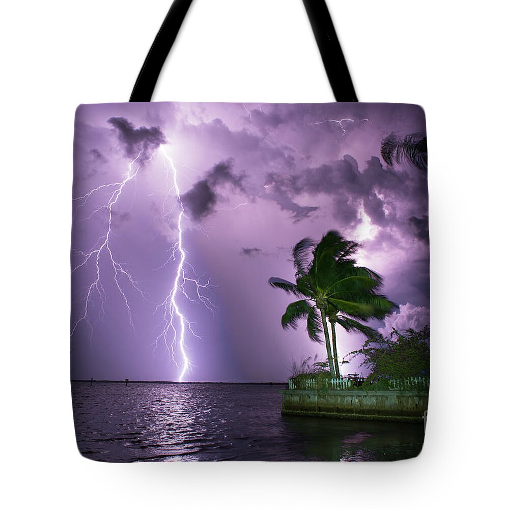 Lightning Tote Bag featuring the photograph The Palms by Quinn Sedam