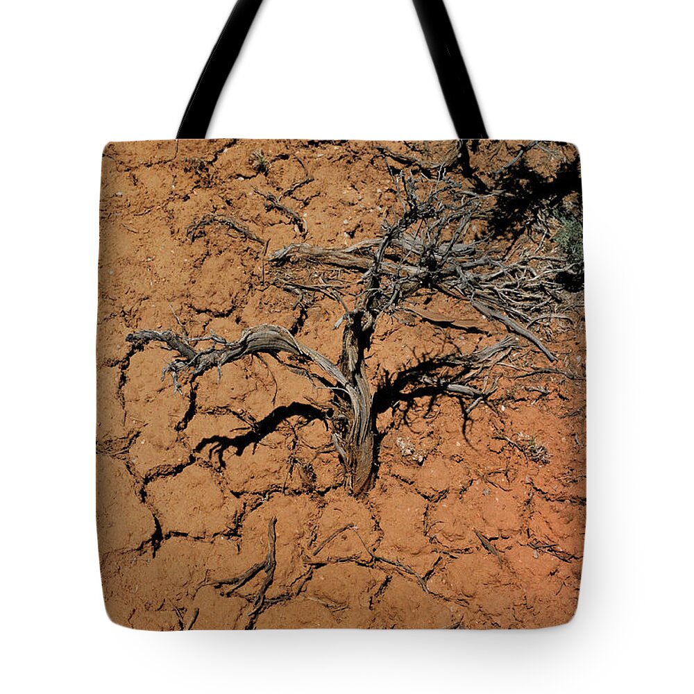 Landscape Tote Bag featuring the photograph The Parched Earth by Ron Cline