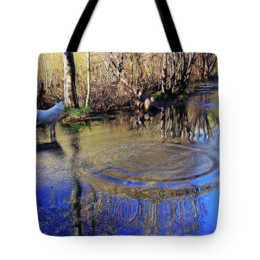 Path Tote Bag featuring the photograph The Path Of Reflection by Sean Sarsfield
