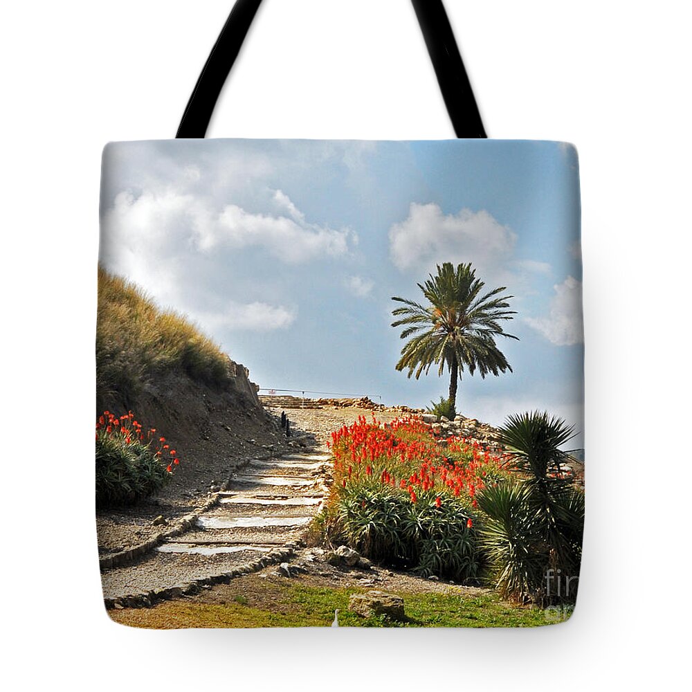 Archeology Tote Bag featuring the photograph The Path That Leads To The Past by Lydia Holly