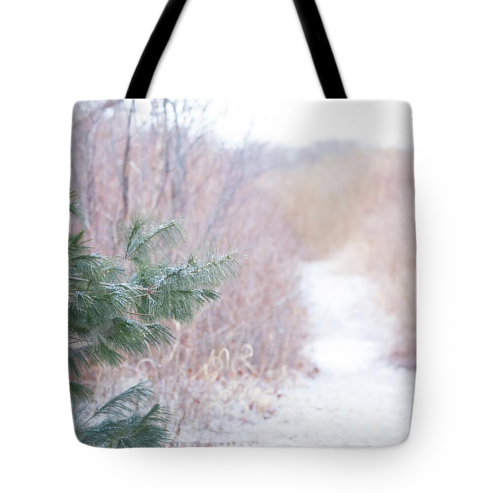 Pine Needles Tree Trees Snow Snowy Snowing Winter Cold Moody Path Outside Outdoors Nature Natural Newengland New England Ma Mass Massachusetts Plum Island Reservation Ice Icy Landscape Tote Bag featuring the photograph The Path Untraveled by Brian Hale