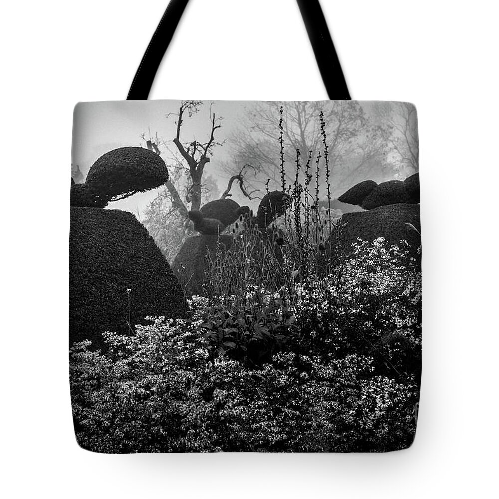 Plants Tote Bag featuring the photograph The Peacock Garden, Great Dixter by Perry Rodriguez