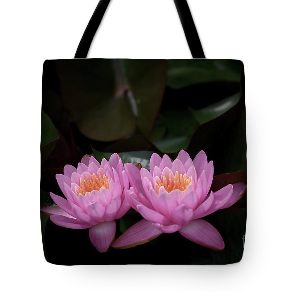 Flower Tote Bag featuring the photograph The Perfect Couple by Andrea Silies