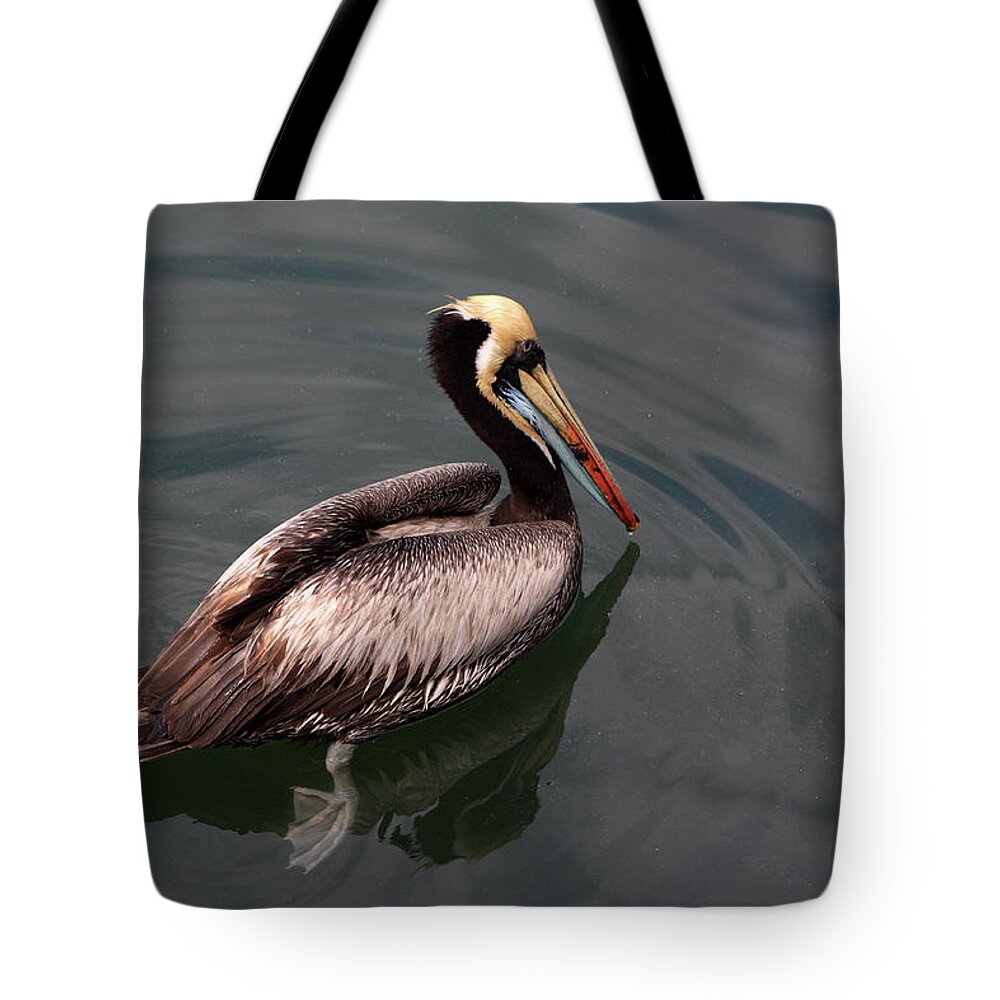 Pelican Tote Bag featuring the photograph The Peruvian Pelican #2 by Aidan Moran