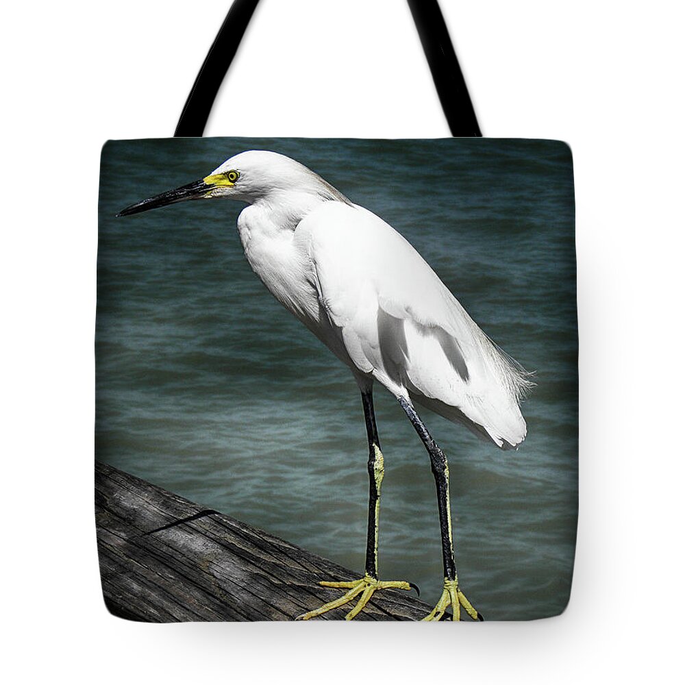 The Pier Master Tote Bag featuring the photograph The Pier Master by Don Columbus