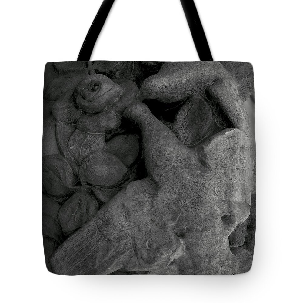 Pigeon Tote Bag featuring the photograph The pigeons by Emme Pons