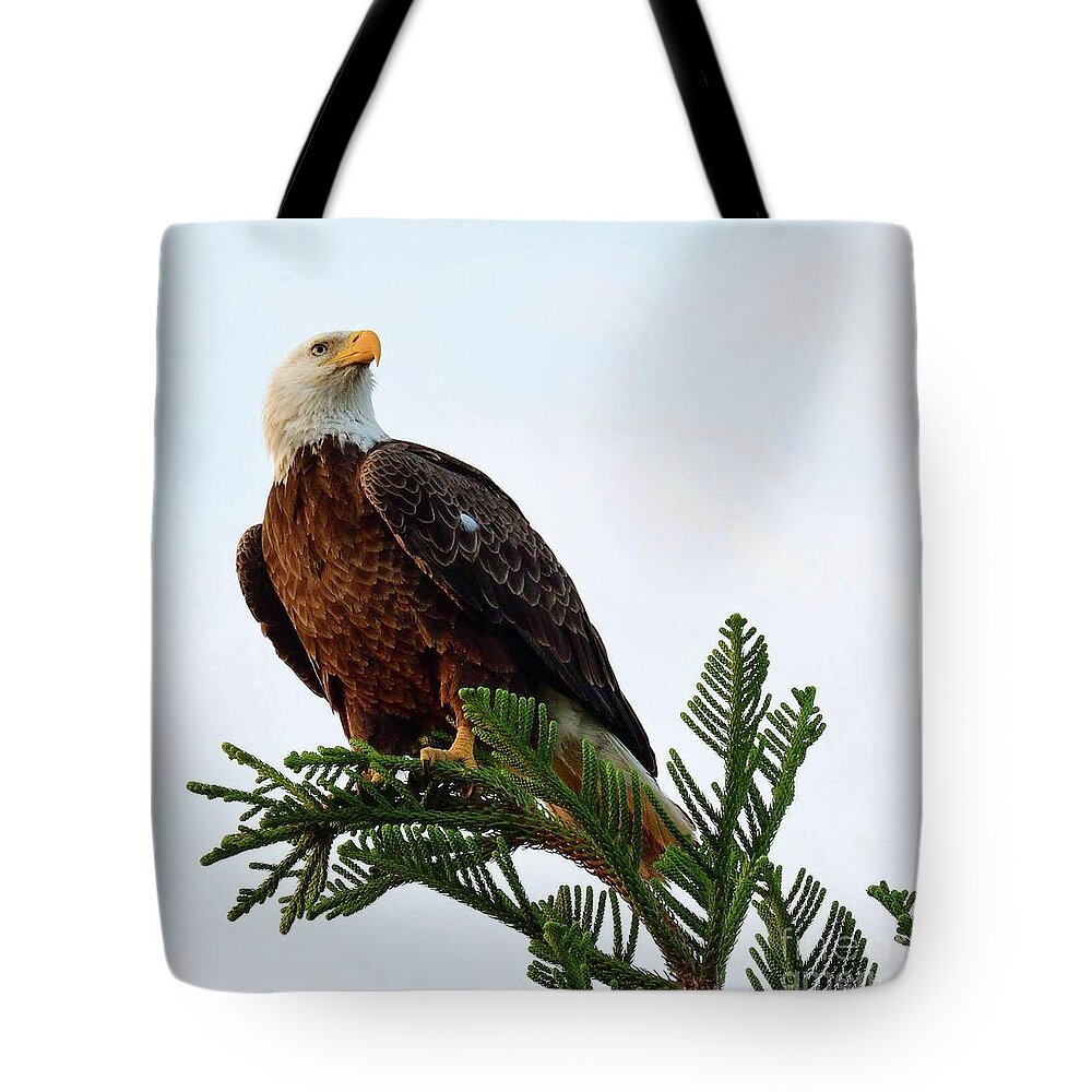 Birds Tote Bag featuring the photograph the pine is where M15 landed by Liz Grindstaff