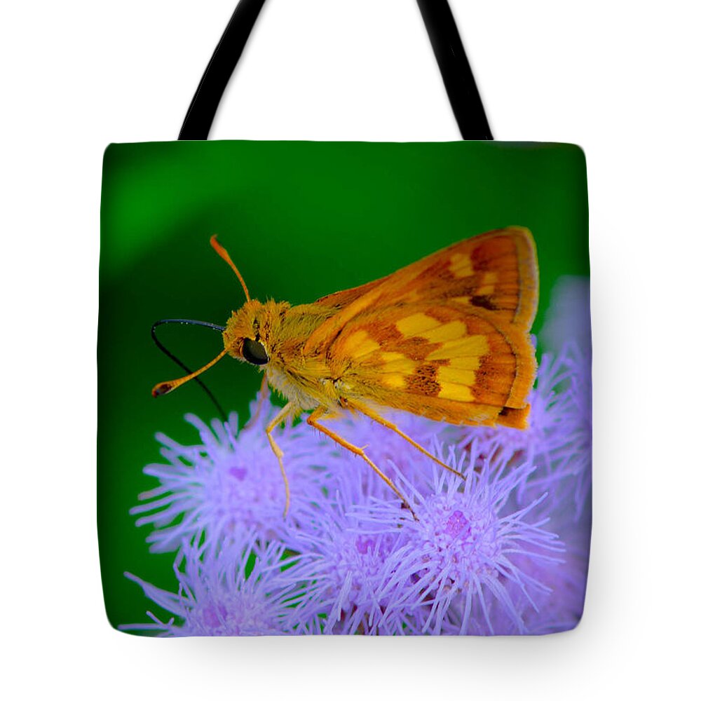 Butterfly Tote Bag featuring the photograph The Pollinator by Bruce Pritchett