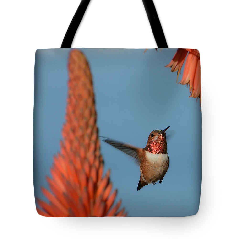 Allens Hummingbird Tote Bag featuring the photograph The Power Of Aloe 3 by Fraida Gutovich