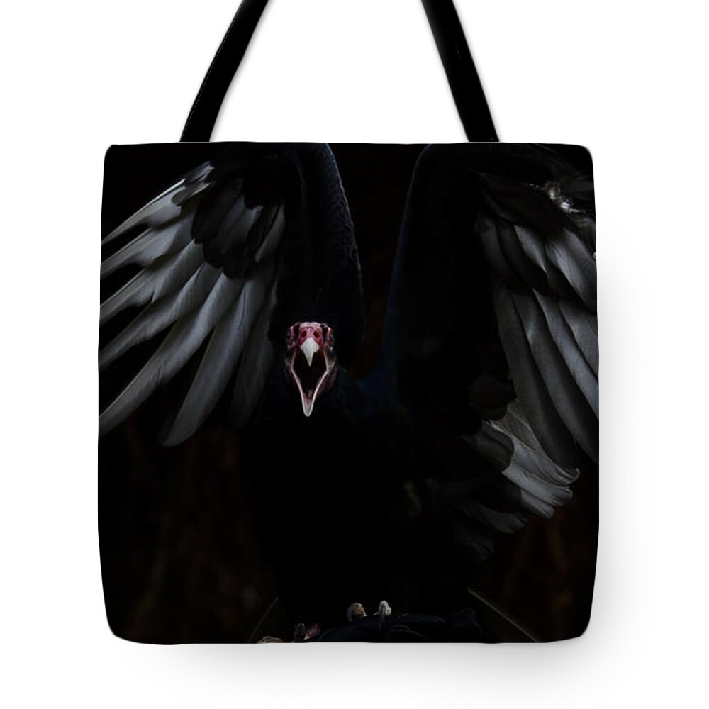#turkeyvulturelovers. Images Of Are Ann M. Garrett- Birds- Vultures- Limited Edition #viralimage-#hotitem #turkeuvulture Tote Bag featuring the photograph SULI - the dragon Limited Edition 17/50 by Rae Ann M Garrett